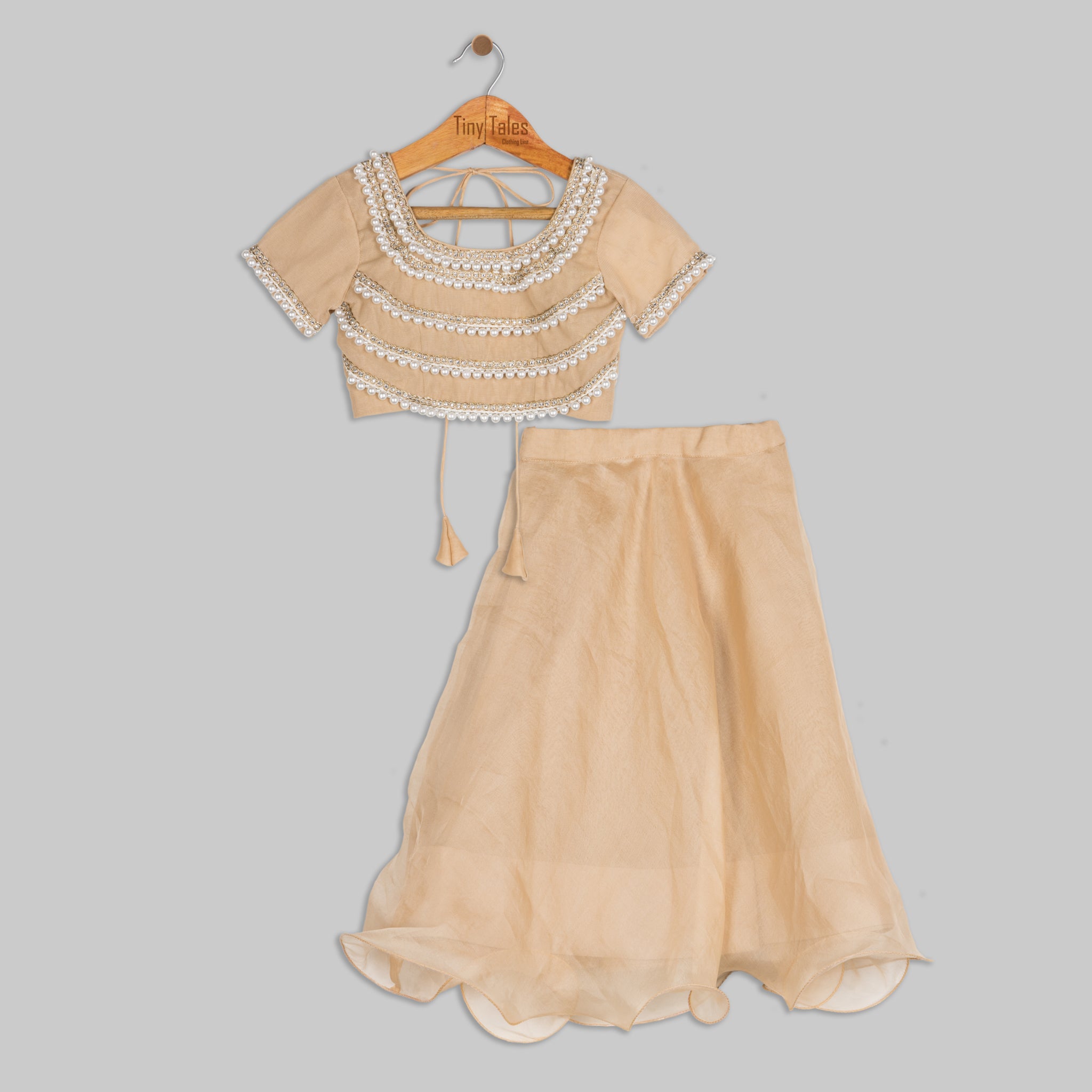 Beige Embroidered Blouse with Organza Skirt