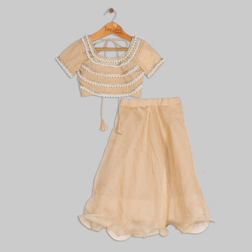 Beige Embroidered Blouse with Organza Skirt