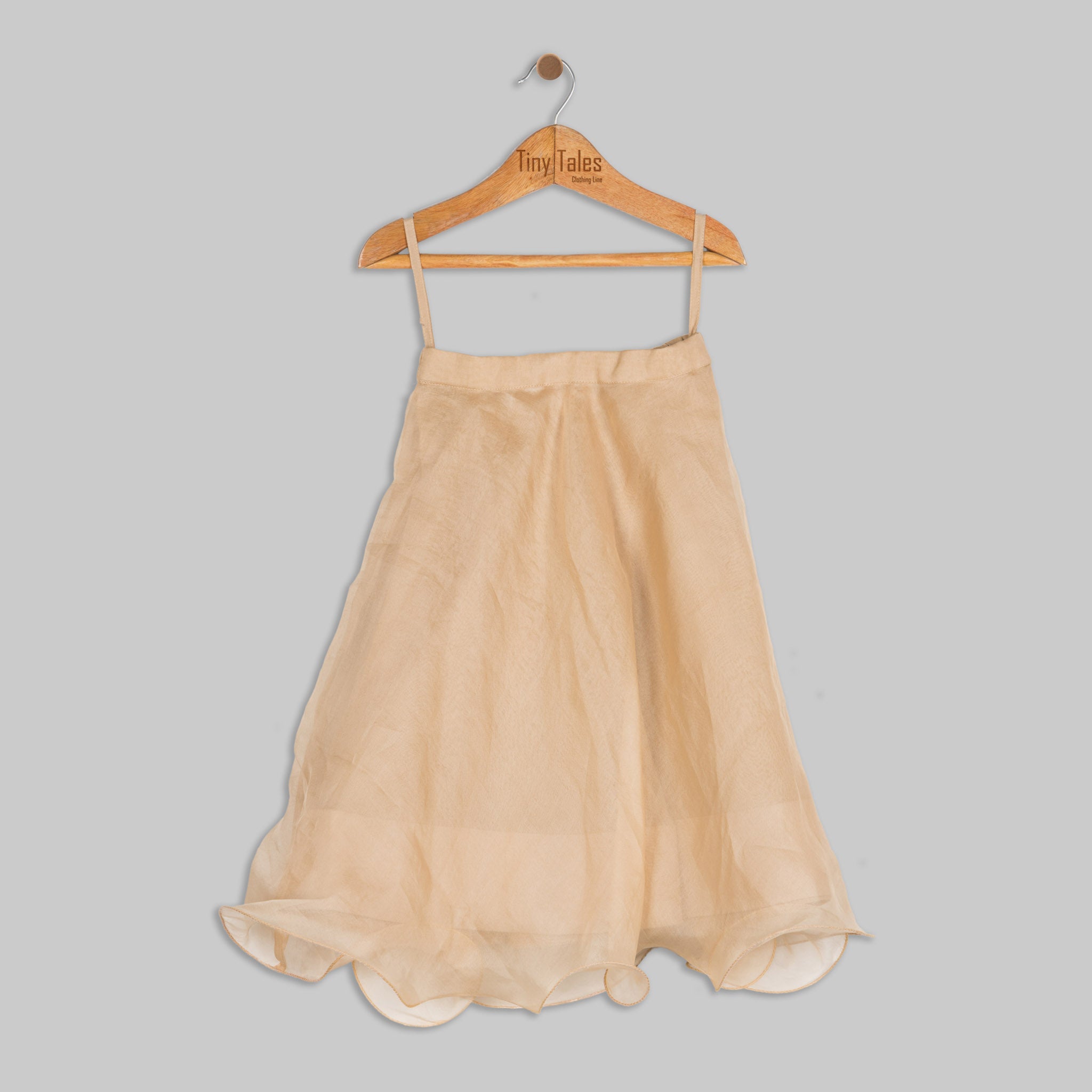 Beige Embroidered Blouse with Organza Skirt