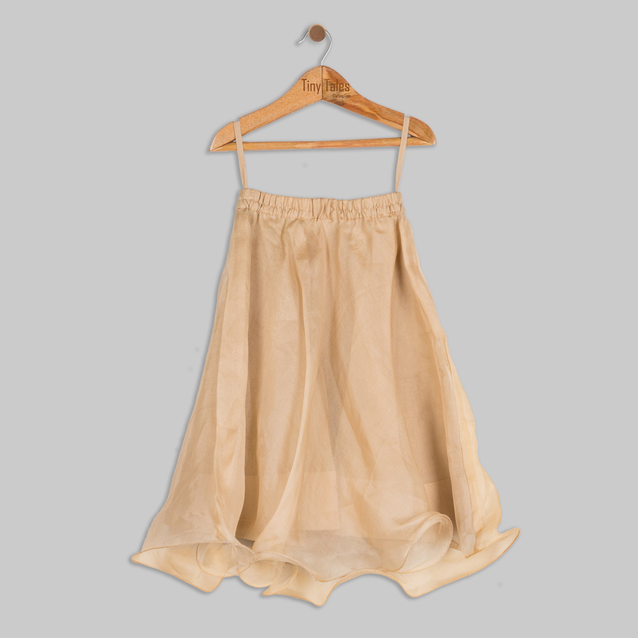 Beige Embroidered Blouse with Organza Skirt