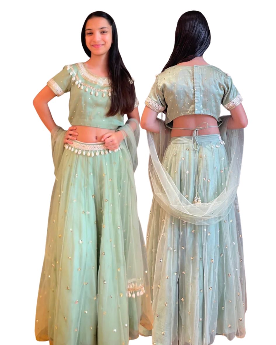 Pastel Green Embroidered Lehenga Set