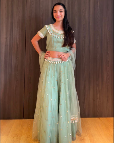 Pastel Green Embroidered Lehenga Set