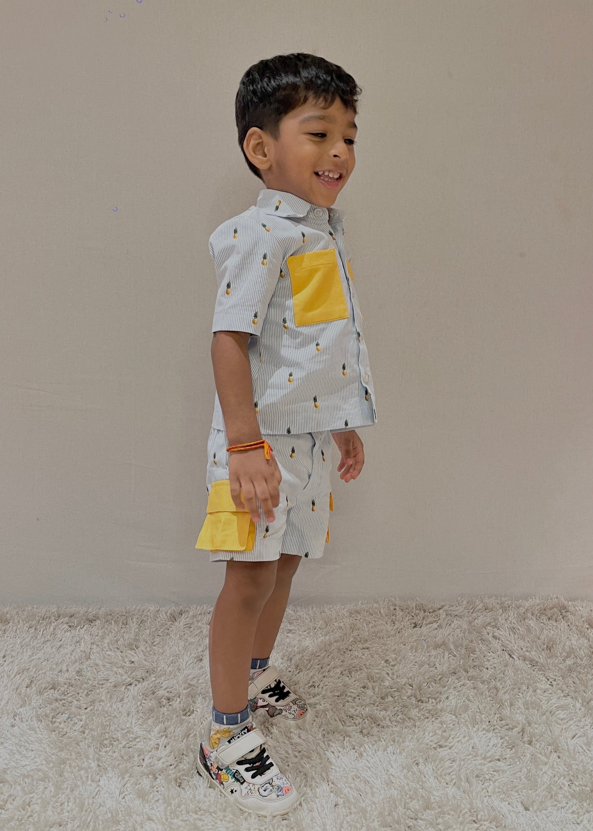 Pinstripe Pineapple Set