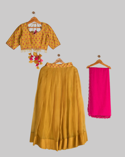 Mustard Embroidered Lehenga Set