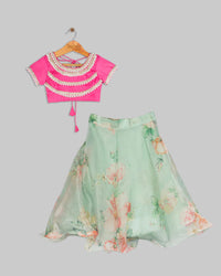 Pink Embroidered Blouse with Organza Skirt