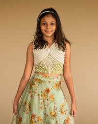 Pearl Embroidery Blouse with Lehenga Set